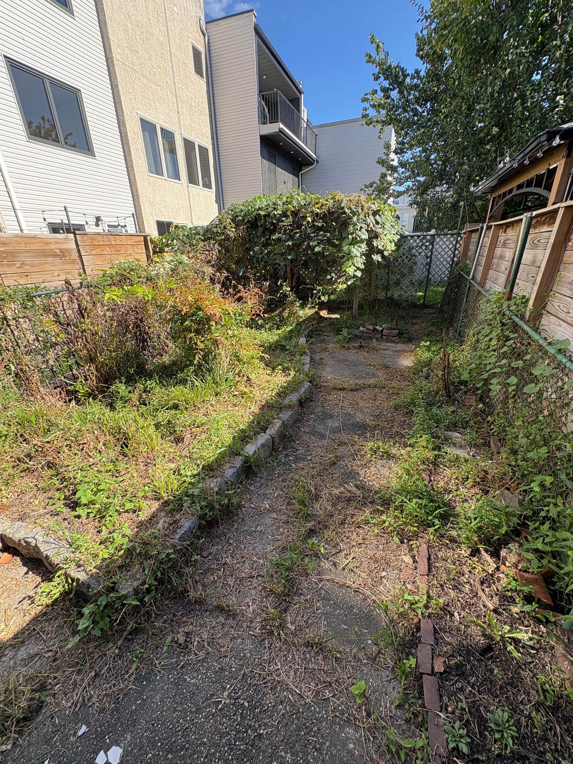 Overgrown backyard and walkway before the refresh
